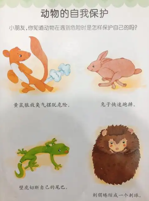 09279a4c48584ef3a349fc13432c5176.png