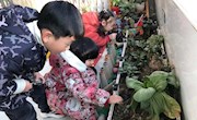 【生态资源】美丽的自然角