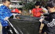 【生态资源】树叶去哪儿了
