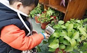 【生态资源】自然角的秘密