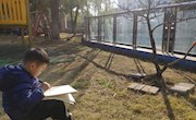 【生态资源】桃花树下